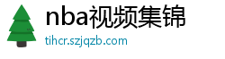 nba视频集锦